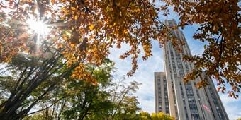 Cathedral in early fall