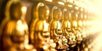 Row of golden Buddhas